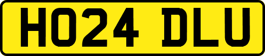 HO24DLU