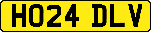 HO24DLV