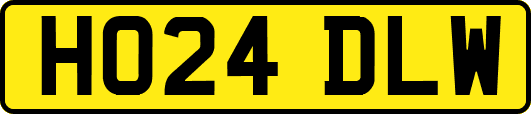 HO24DLW