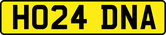 HO24DNA