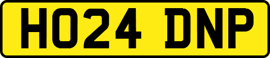 HO24DNP