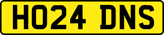 HO24DNS