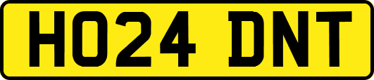 HO24DNT