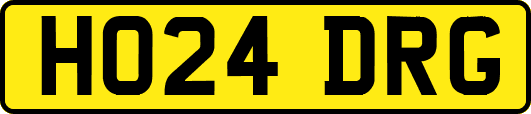 HO24DRG