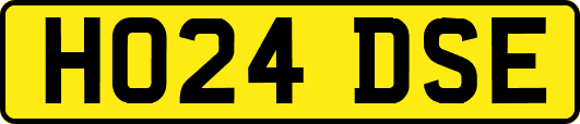 HO24DSE
