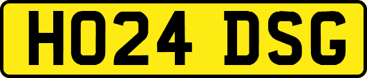 HO24DSG