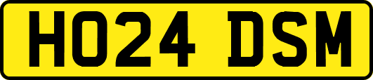 HO24DSM