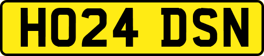 HO24DSN