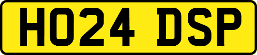 HO24DSP