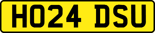 HO24DSU