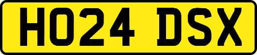HO24DSX