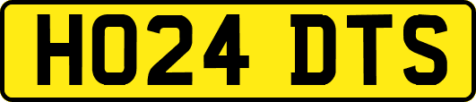 HO24DTS