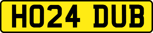 HO24DUB