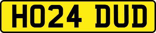 HO24DUD