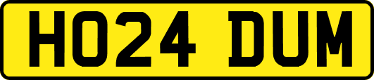 HO24DUM