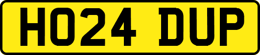 HO24DUP