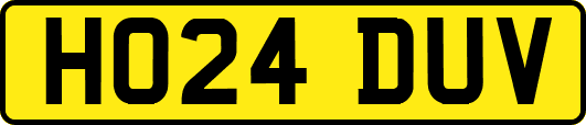 HO24DUV