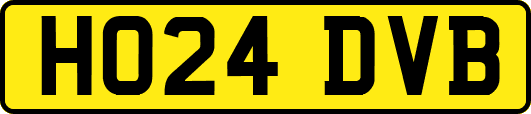 HO24DVB