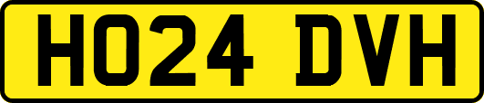 HO24DVH