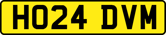 HO24DVM