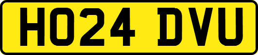 HO24DVU
