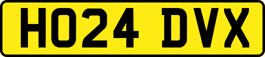 HO24DVX