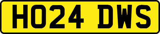 HO24DWS
