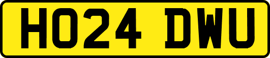 HO24DWU