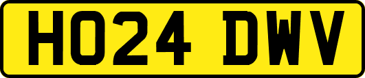 HO24DWV