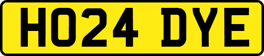 HO24DYE