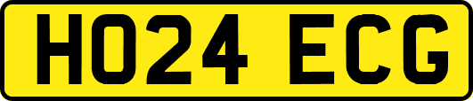 HO24ECG