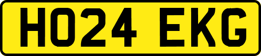 HO24EKG