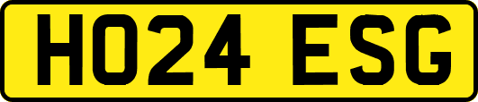 HO24ESG
