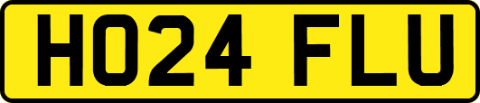 HO24FLU