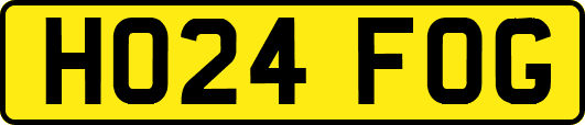 HO24FOG
