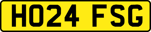 HO24FSG