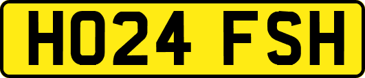 HO24FSH
