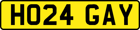 HO24GAY