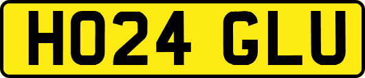 HO24GLU