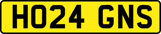 HO24GNS