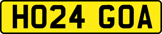 HO24GOA