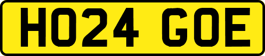 HO24GOE