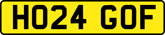HO24GOF
