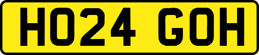 HO24GOH