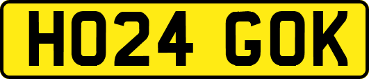 HO24GOK