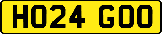 HO24GOO