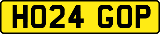 HO24GOP