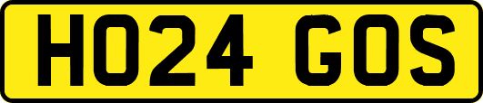 HO24GOS