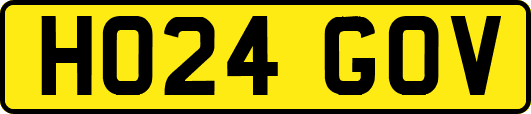 HO24GOV