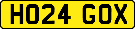 HO24GOX